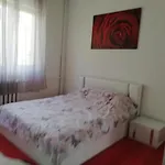 Center Spacious With Free Parking Daire Sofya